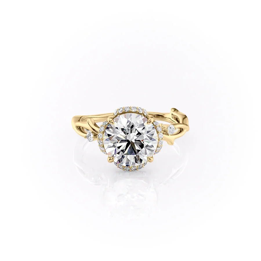 The Halo Twig Set With A 1.0 Carat